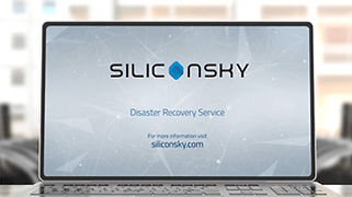 Siliconsky